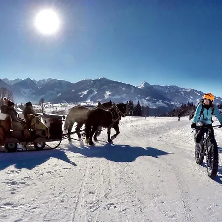 Appartementhaus Finis Lägenhet Ramsau am Dachstein