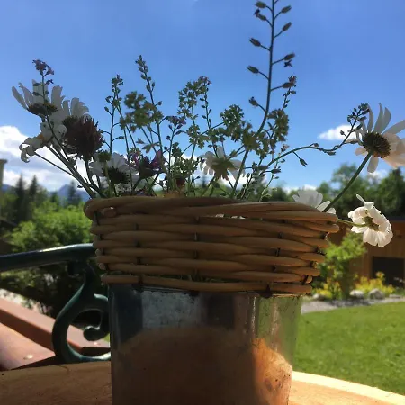 Appartementhaus Finis Appartamento *