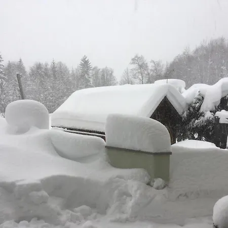 Appartementhaus Finis Lägenhet