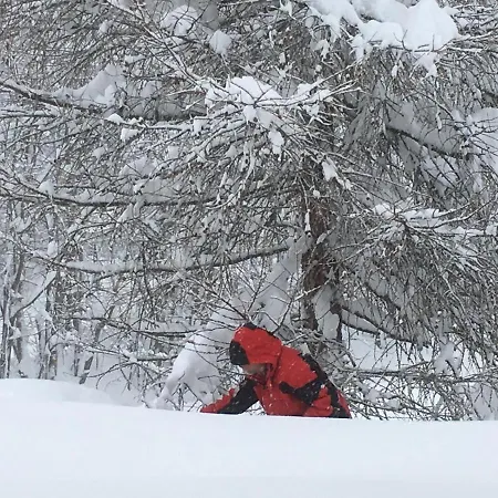 Lägenhet Appartementhaus Finis