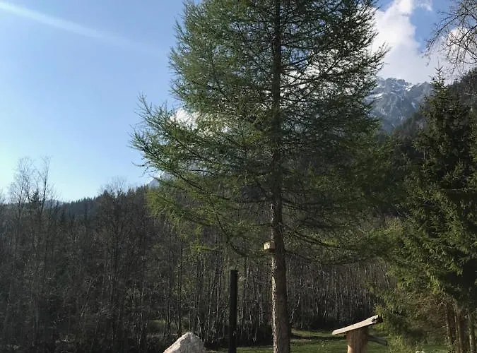 Appartementhaus Finis Appartement Ramsau am Dachstein