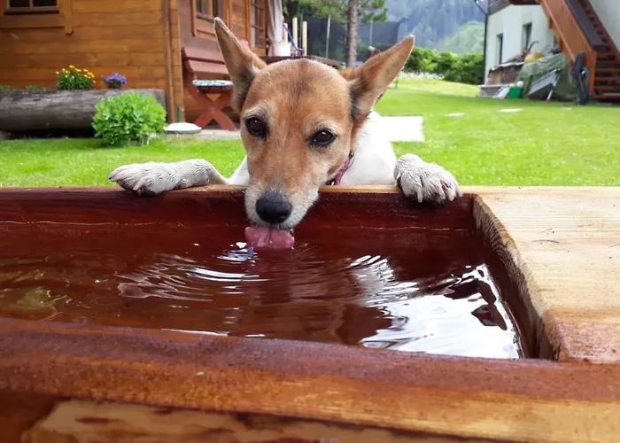 Appartementhaus Finis *