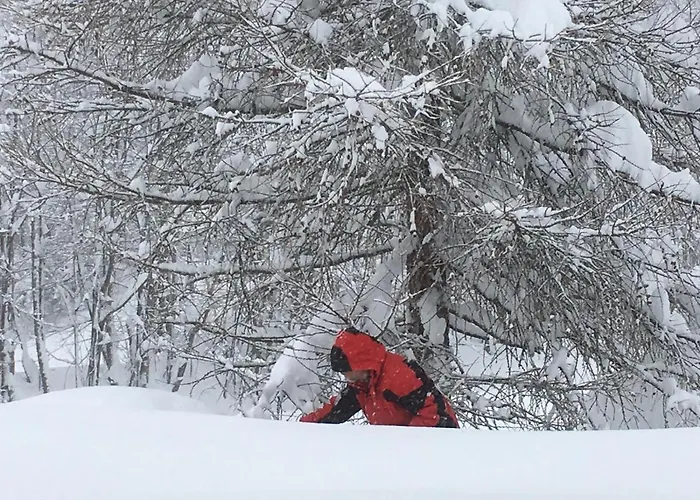 Appartement Appartementhaus Finis